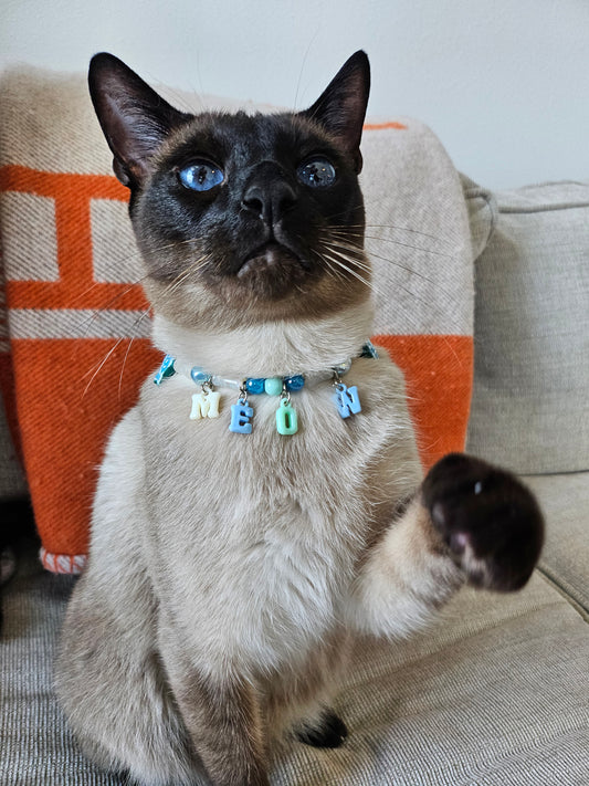 Meowreef Pet Necklace