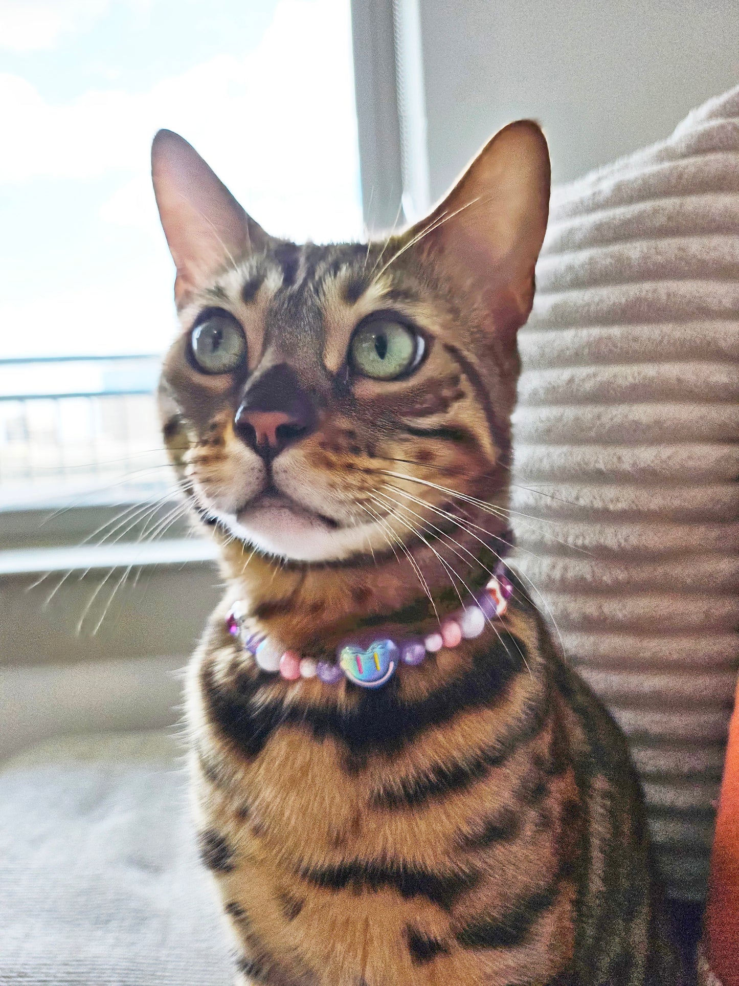 CosmicPaw Pet Necklace