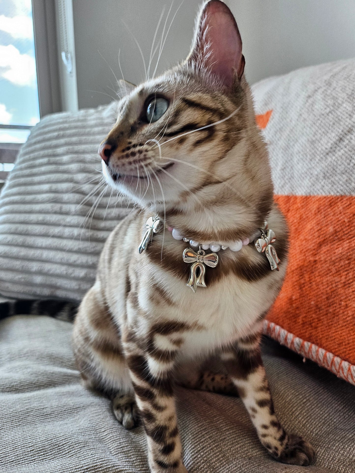 Coquette Pet Necklace