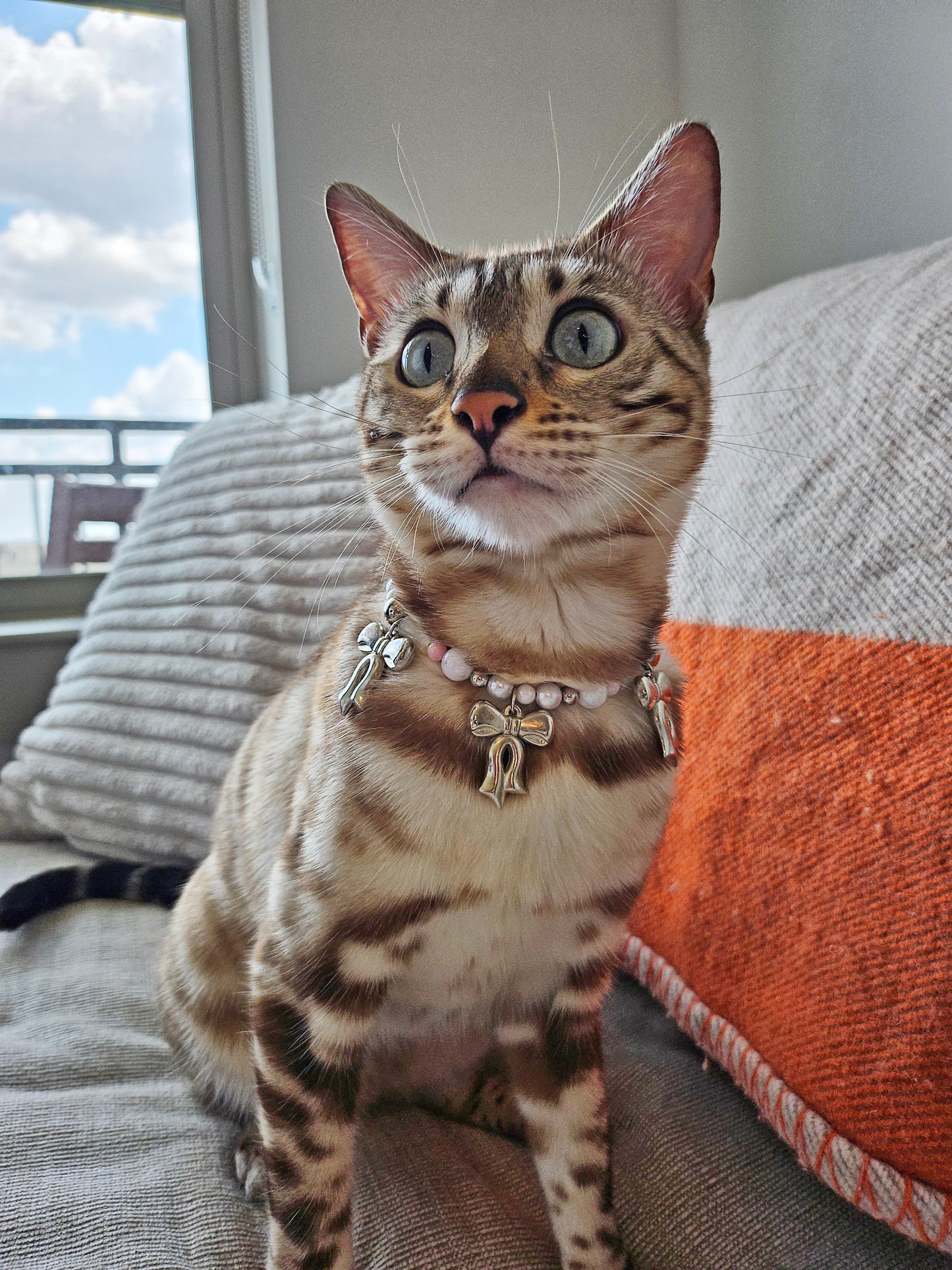 Coquette Pet Necklace