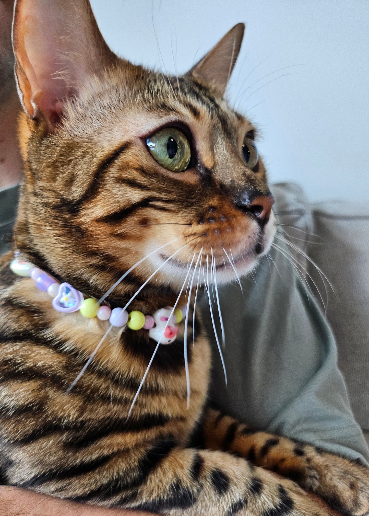 Maneki-neko Pet Necklace