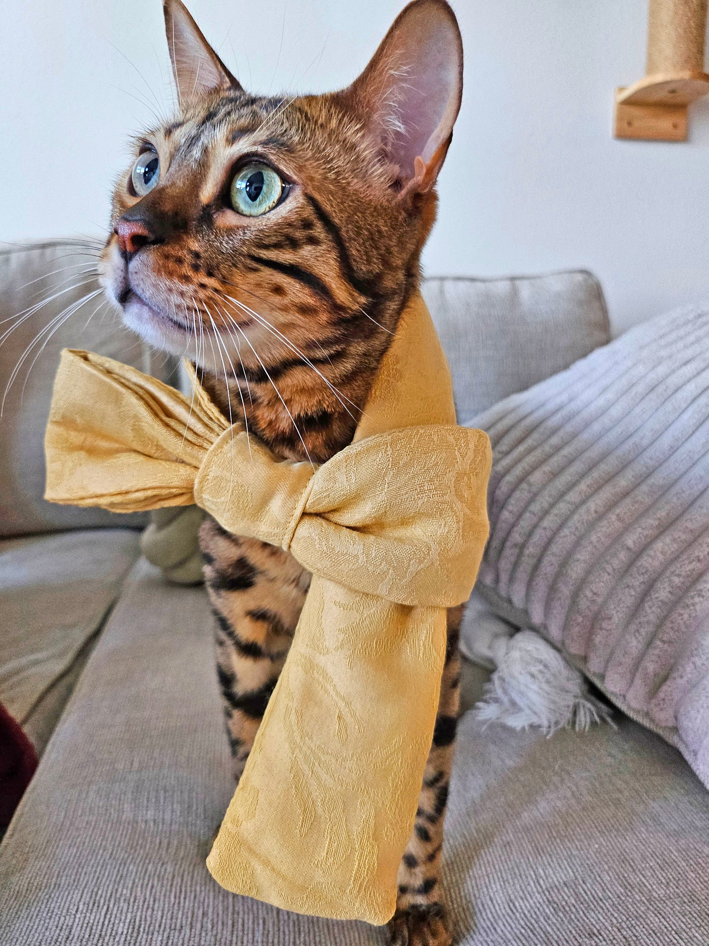 Purrfect Bow Scarf