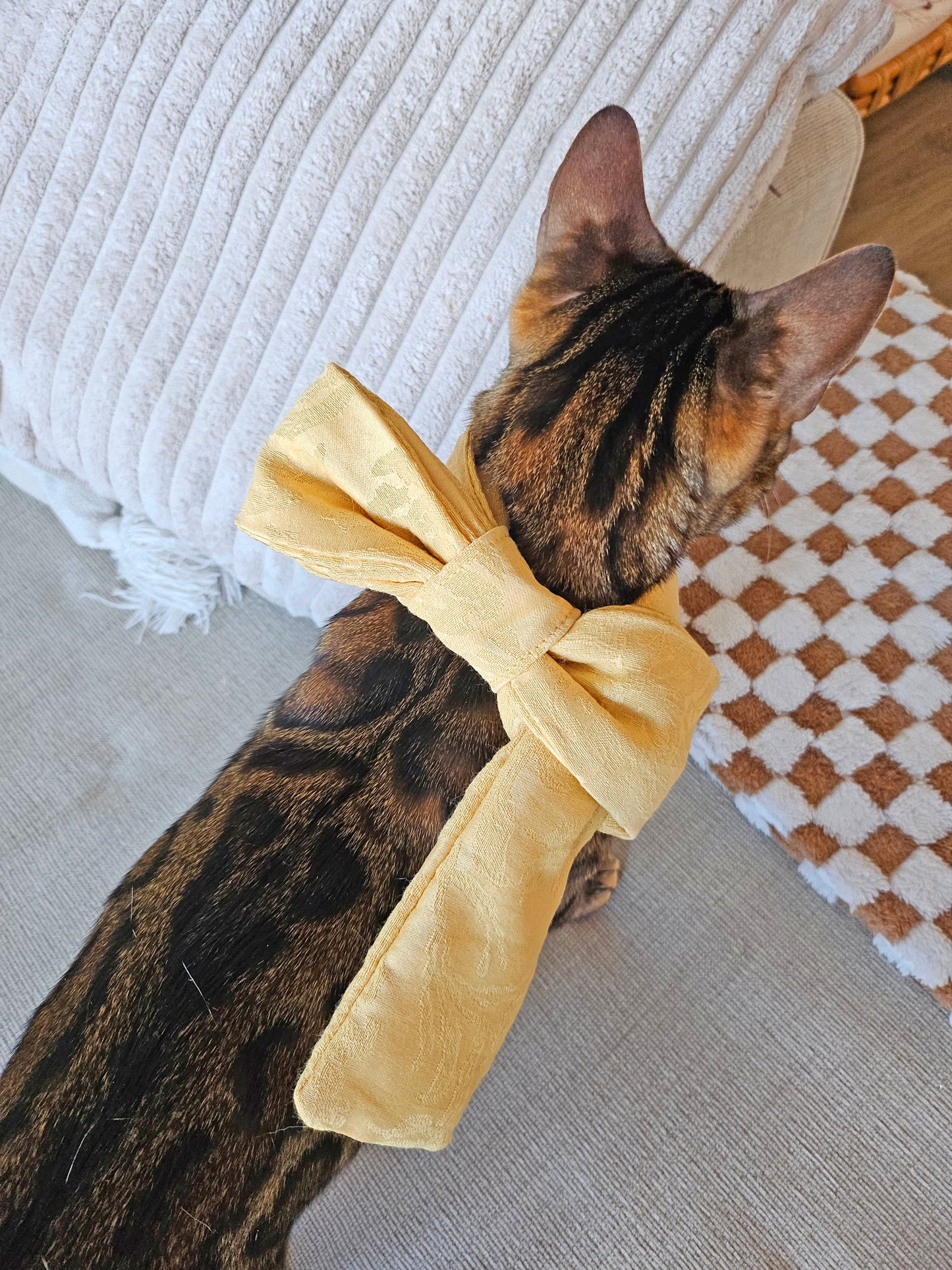 Purrfect Bow Scarf