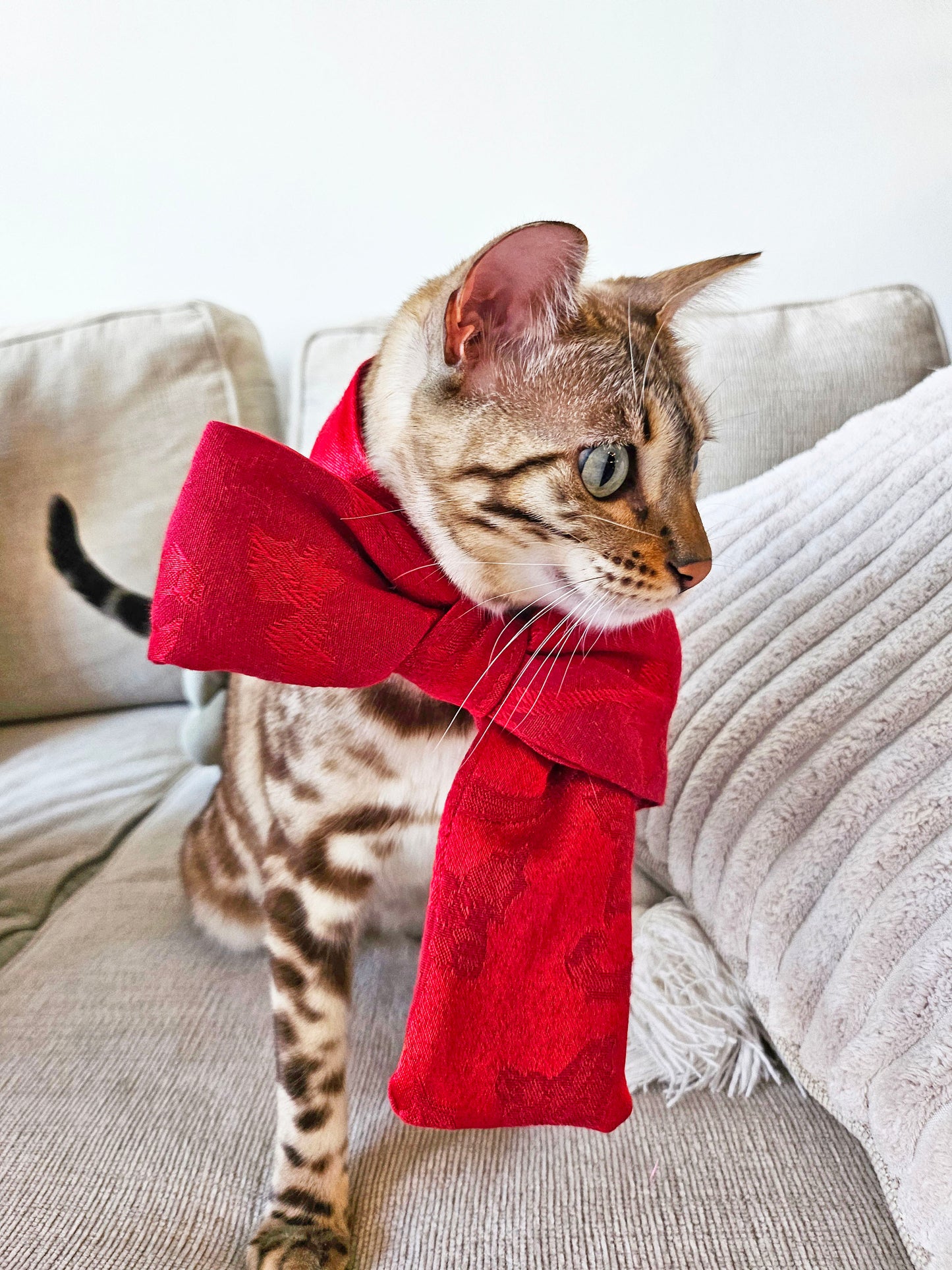 Purrfect Bow Scarf