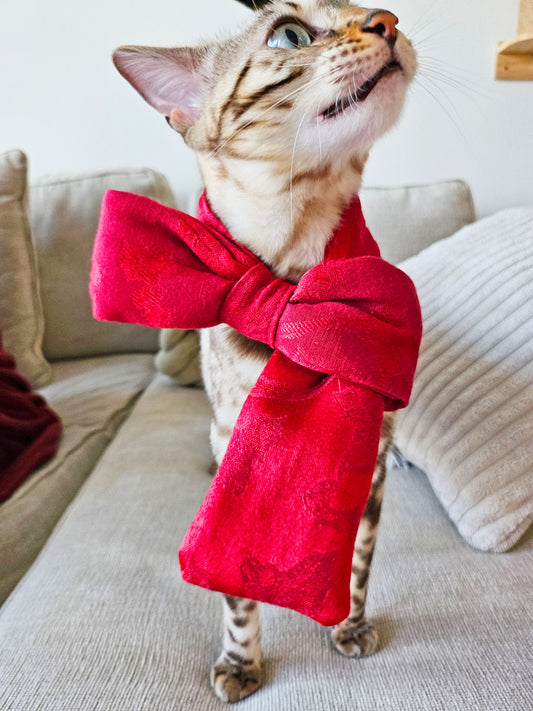 Purrfect Bow Scarf