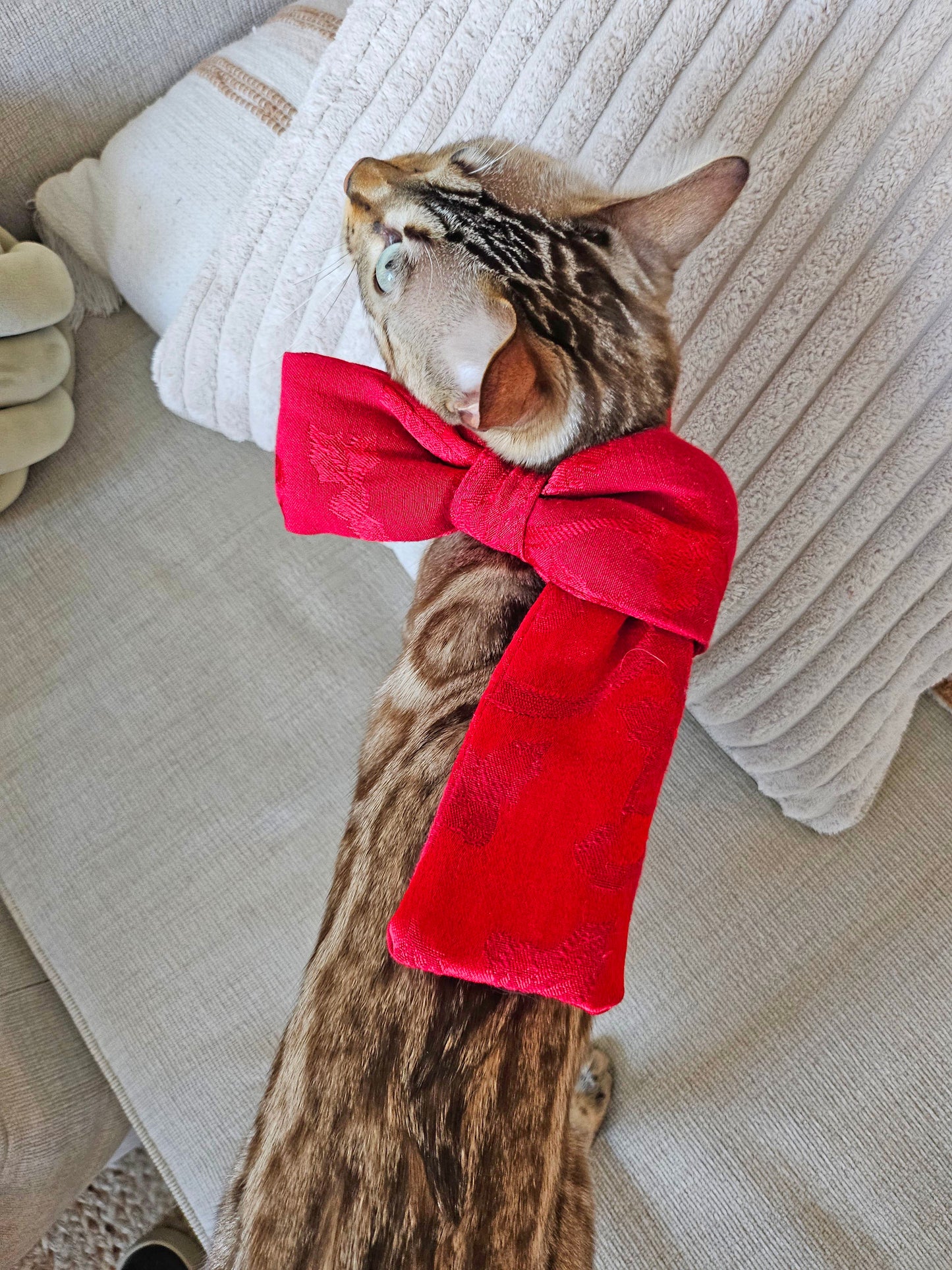 Purrfect Bow Scarf