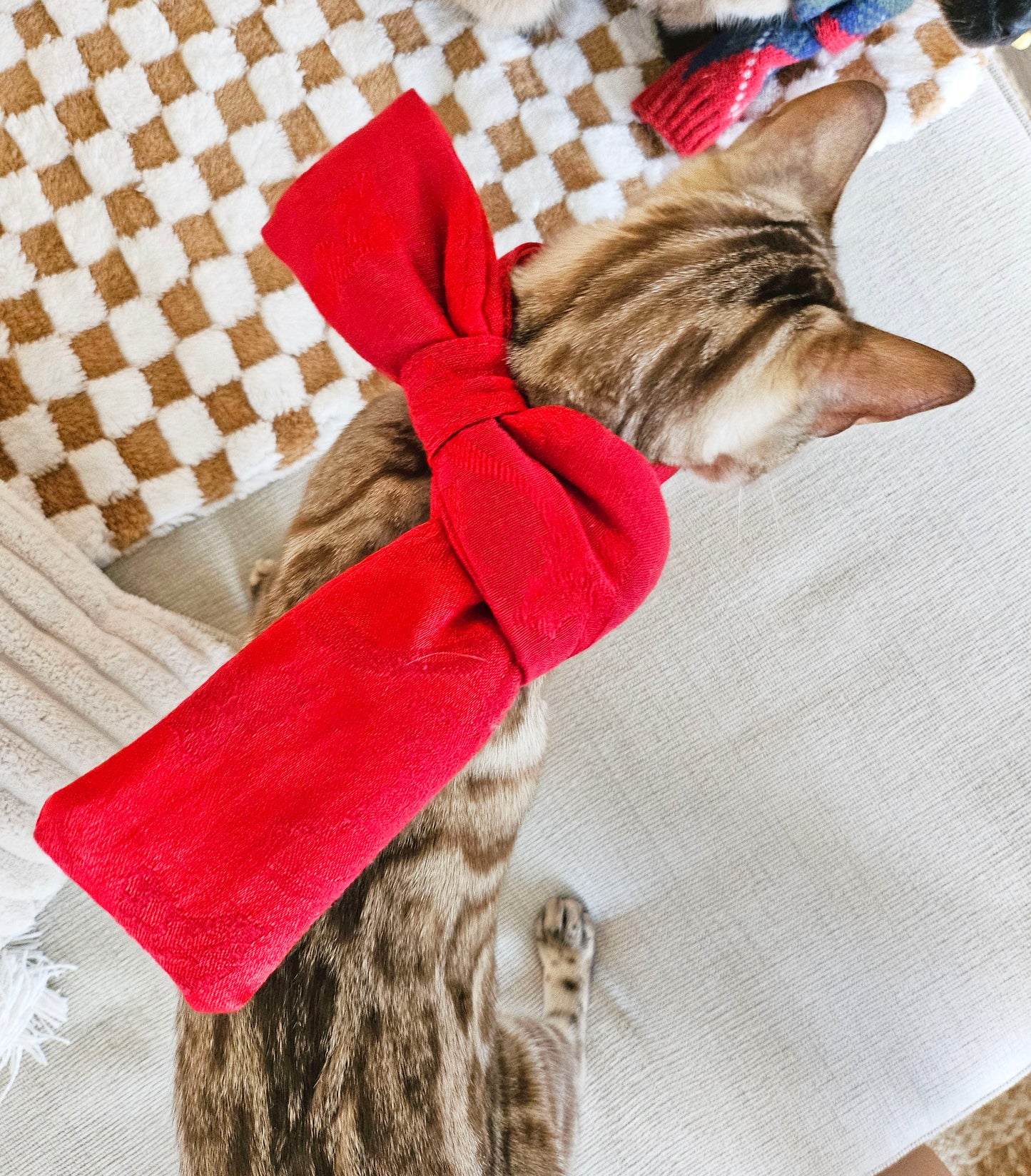 Purrfect Bow Scarf