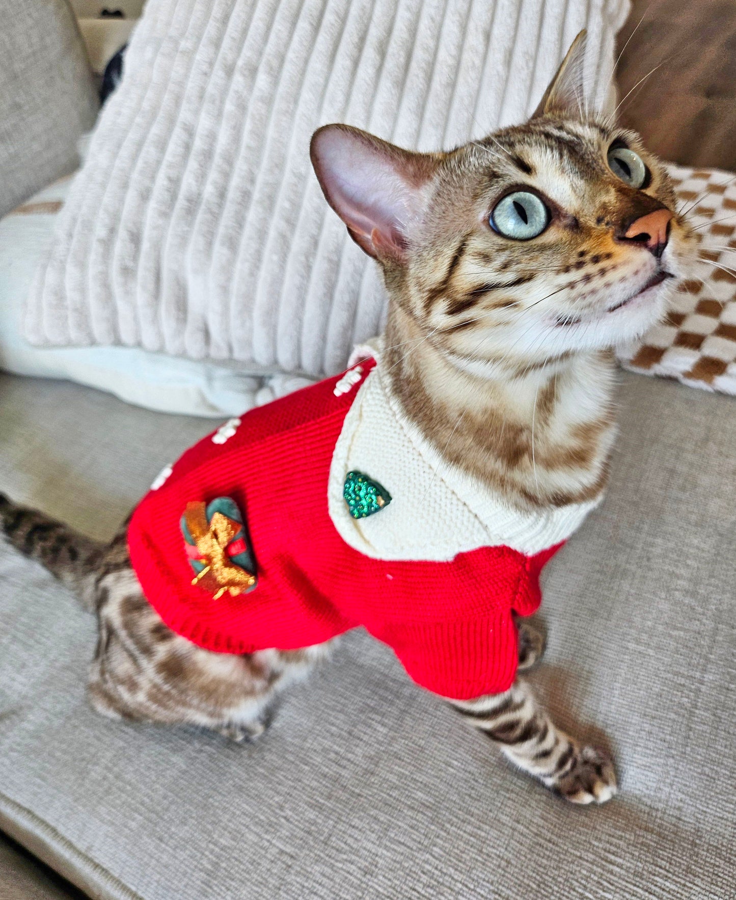 Santa's Helper Sweater