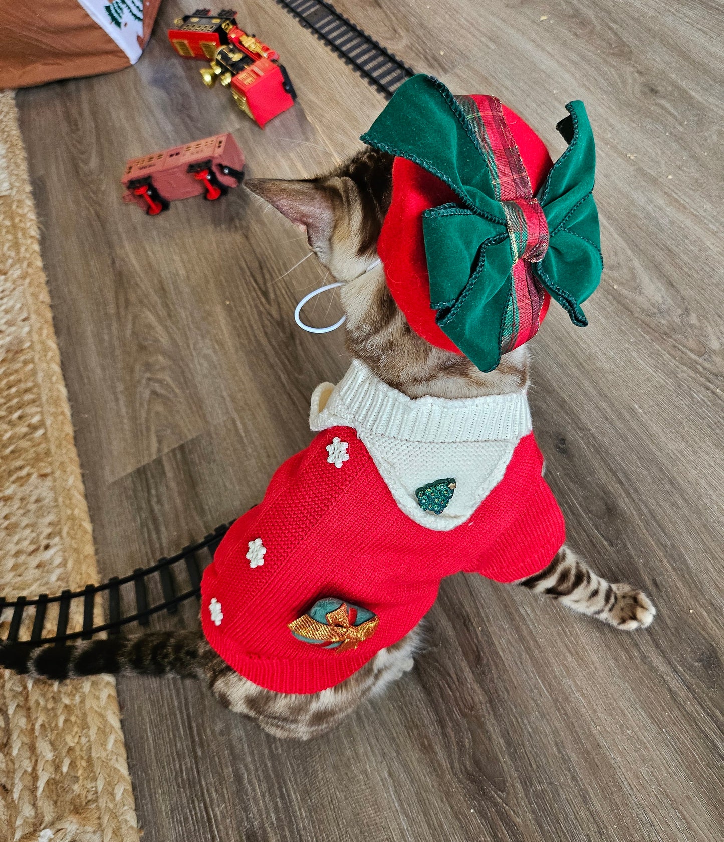 Santa's Helper Sweater