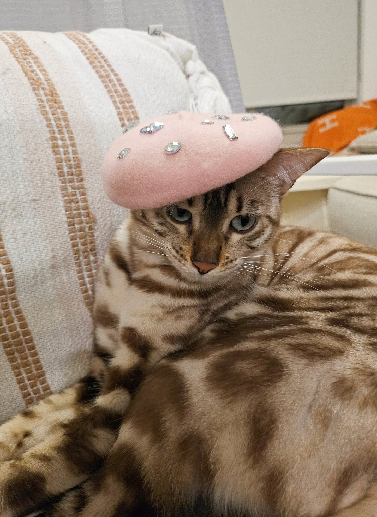 Purrisian Beret